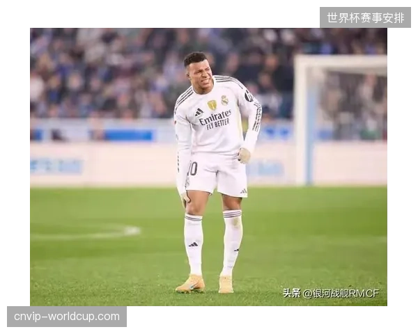 法国队以世界第二的排名进入世界杯，全国媒体与赞助商均期待能最终登顶